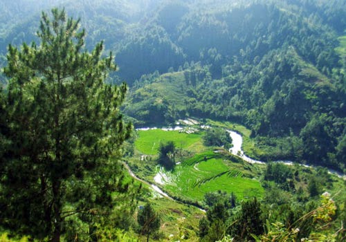 5 Days Discover Toraja