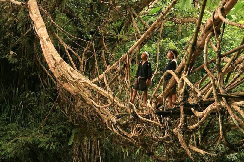 Baduy Village Banten